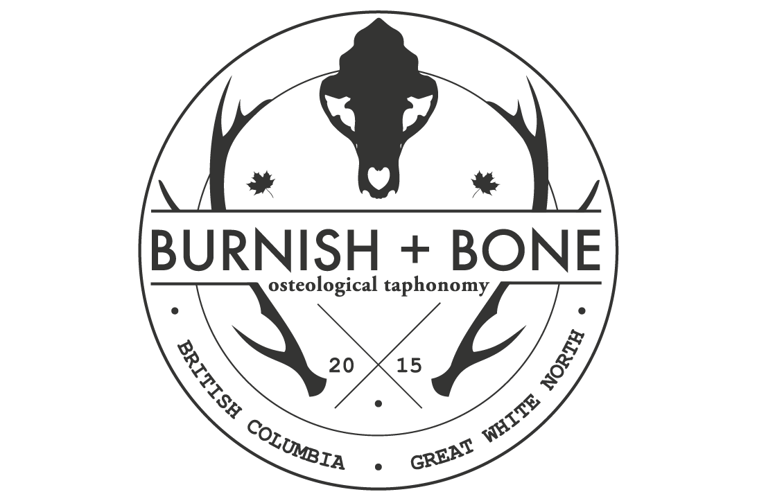Burnish + Bone
